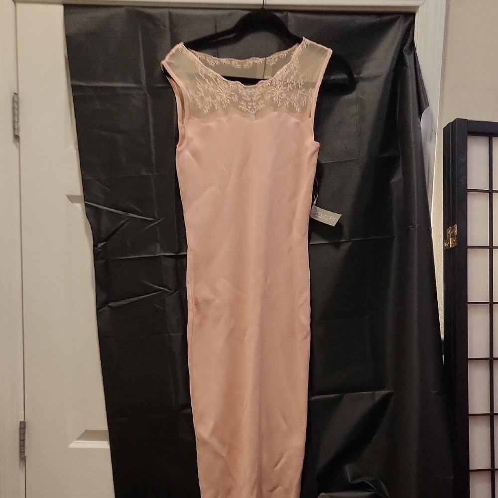 Eva Mendes Pink Embellished Sheath Dress for Weddings